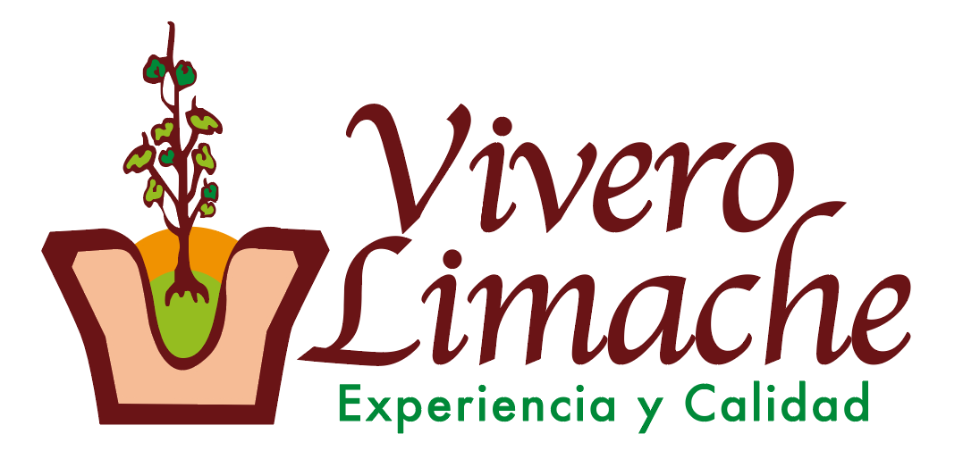 Vivero Limache